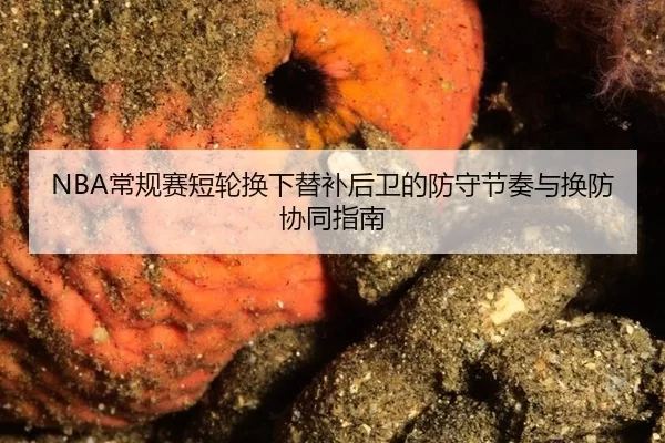 NBA常规赛短轮换下替补后卫的防守节奏与换防协同指南
